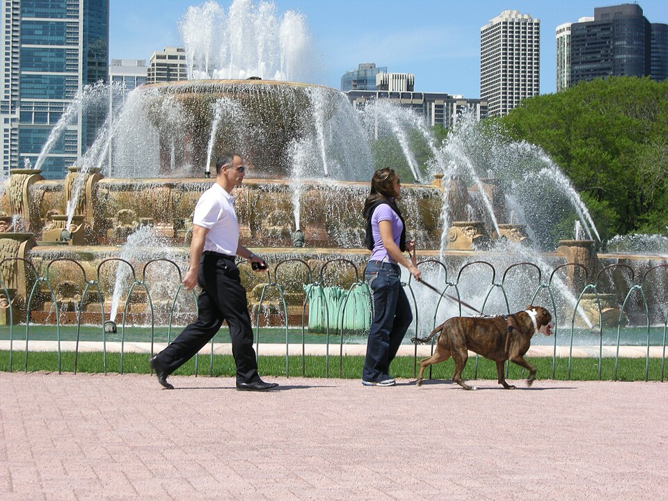 File:Couple walking dog at Buckingham Fountain.jpg